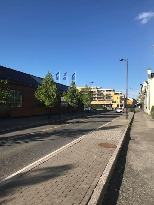 Stort Hus I Porsgrunn Sentrum Med Gangavstand Til "Alt" & Gratis Parkering Til Flere Biler Dış mekan fotoğraf